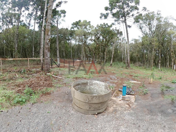 Imagem Fazenda à Venda, 20.000 m² em Jordão - Guarapuava Imagem Fazenda à Venda, 20.000 m² em Jordão - Guarapuava