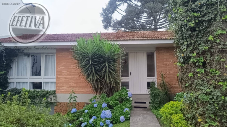 Casa com 3 Quartos à Venda, 309 m² em Jardim Social - Curitiba