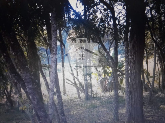Imagem Imóvel à Venda, 145 m² em Jardim Bela Vista Ii - Artur Nogueira Imagem Imóvel à Venda, 145 m² em Jardim Bela Vista Ii - Artur Nogueira