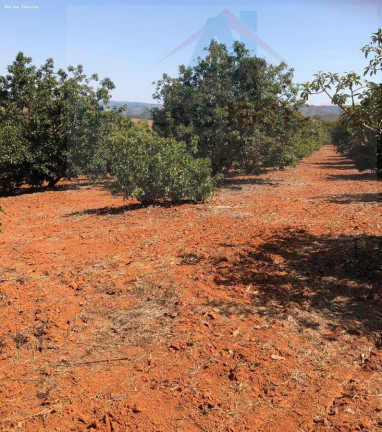 Imagem Chácara à Venda, 2.000 m² em Serra Azul