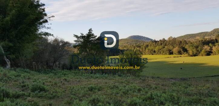 Imagem Terreno à Venda, 140.000 m² em Santa Rosa - Jaguari
