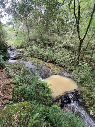 Imagem Fazenda à Venda, 5 m² em Rio Das Pedras - Guarapuava Imagem Fazenda à Venda, 5 m² em Rio Das Pedras - Guarapuava