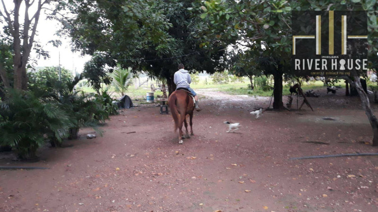 Imagem Chácara com 2 Quartos à Venda, 2.500 m² em Pedra 90 - Cuiabá Imagem Chácara com 2 Quartos à Venda, 2.500 m² em Pedra 90 - Cuiabá