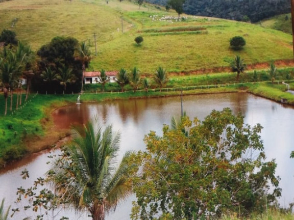 Imagem Imóvel à Venda, em área Rural - Ipiaú Imagem Imóvel à Venda, em área Rural - Ipiaú