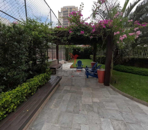Imagem Apartamento com 3 Quartos à Venda, 90 m² em Vila Mascote - São Paulo Imagem Apartamento com 3 Quartos à Venda, 90 m² em Vila Mascote - São Paulo