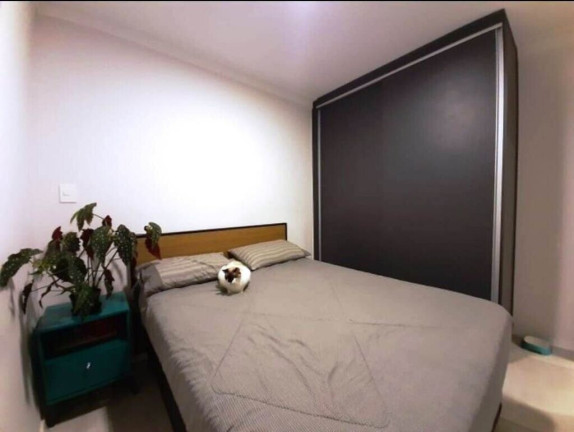 Imagem Apartamento com 2 Quartos à Venda, 55 m² em Vila Matilde - São Paulo Imagem Apartamento com 2 Quartos à Venda, 55 m² em Vila Matilde - São Paulo