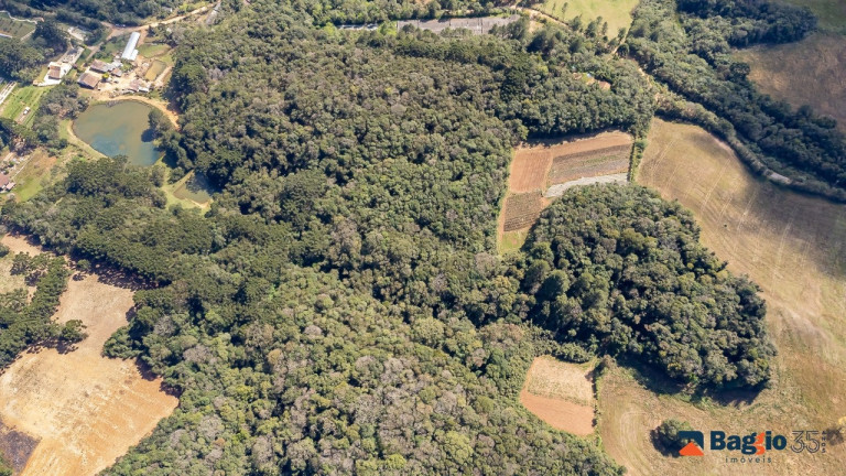 Imagem Imóvel com 1 Quarto à Venda, 56.643 m² em Ferraria - Campo Largo Imagem Imóvel com 1 Quarto à Venda, 56.643 m² em Ferraria - Campo Largo