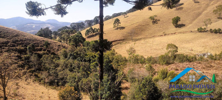 Imagem Chácara à Venda, 20 m² em Centro - Gonçalves