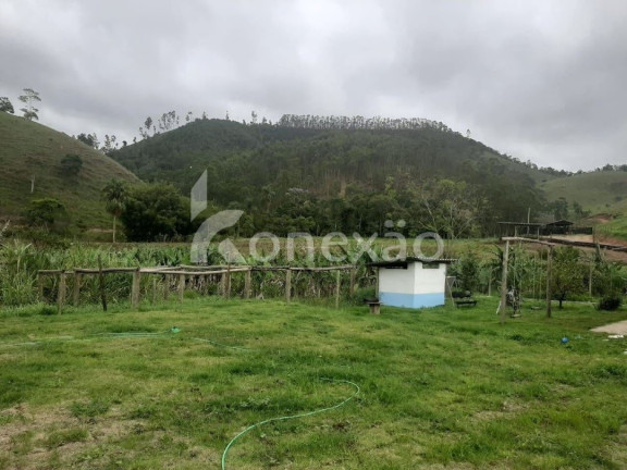 Imagem Fazenda à Venda, 90 m² em Itapeva - Paraibuna Imagem Fazenda à Venda, 90 m² em Itapeva - Paraibuna