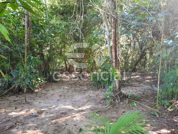 Imagem Casa com 2 Quartos à Venda, 100 m² em Praia Do Prumirim - Ubatuba