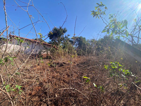Imagem Terreno à Venda, 1 m² em Santa Terezinha De Minas - Itatiaiuçu Imagem Terreno à Venda, 1 m² em Santa Terezinha De Minas - Itatiaiuçu
