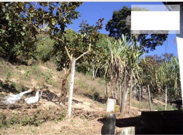 Imagem Chácara com 2 Quartos à Venda, 1.440 m² em Terra Preta - Mairiporã Imagem Chácara com 2 Quartos à Venda, 1.440 m² em Terra Preta - Mairiporã