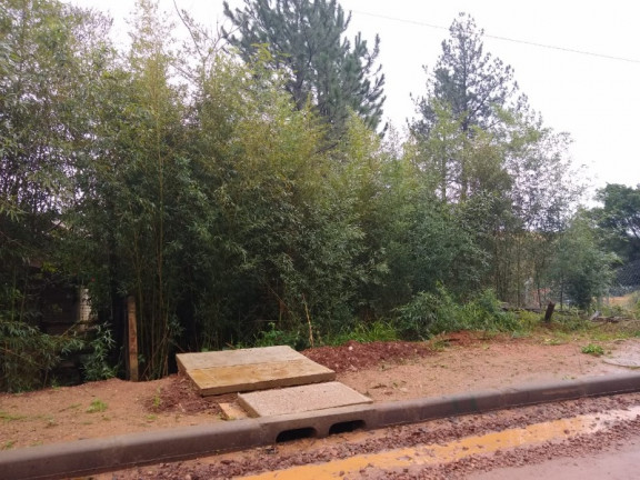 Imagem Terreno à Venda, 445 m² em Tarumã - Viamão