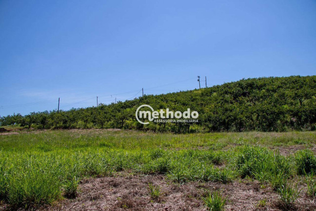 Imagem Imóvel à Venda, 56.785 m² em Feital - Morungaba Imagem Imóvel à Venda, 56.785 m² em Feital - Morungaba