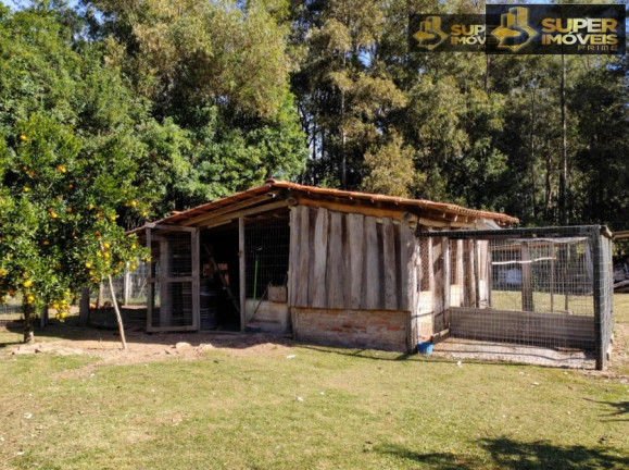 Imagem Imóvel com 5 Quartos à Venda, 4.140 m² em Centro - Capão Do Leão