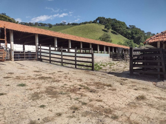 Imagem Fazenda à Venda, 100 m² em Zona Rural - Itamonte