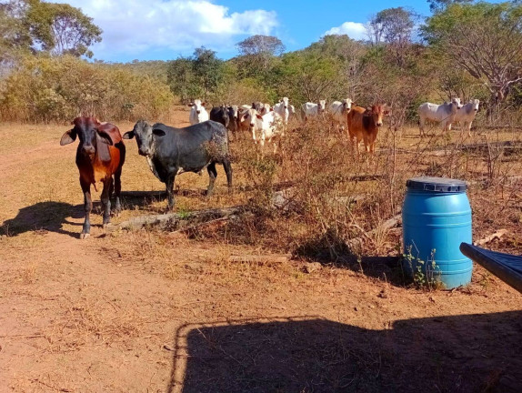 Imagem Fazenda à Venda, 12 m² em Zona Rural - Padre Bernardo Imagem Fazenda à Venda, 12 m² em Zona Rural - Padre Bernardo