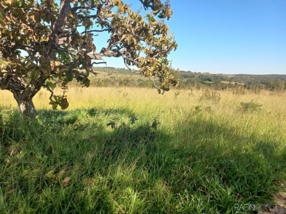 Imagem Fazenda à Venda, 10.000.000 m² em Zona Rural - Camapuã Imagem Fazenda à Venda, 10.000.000 m² em Zona Rural - Camapuã