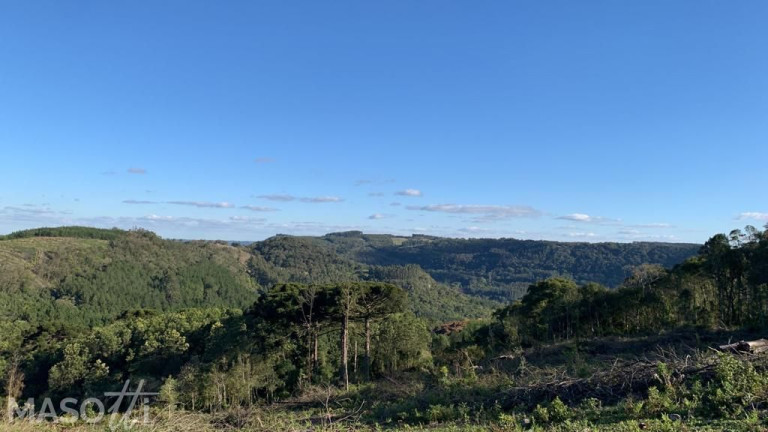 Imagem Chácara à Venda, 31.800 m² em Tapera Alemã - Gramado Imagem Chácara à Venda, 31.800 m² em Tapera Alemã - Gramado