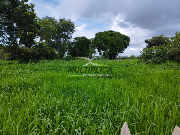 Imagem Fazenda à Venda, 401 m² em Montes Claros Imagem Fazenda à Venda, 401 m² em Montes Claros