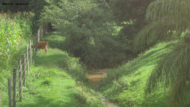 Imagem Fazenda à Venda, 6 m² em Azurita - Mateus Leme