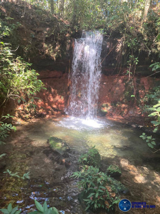 Imagem Fazenda à Venda, 1 m² em Zona Rural - Novo São Joaquim Imagem Fazenda à Venda, 1 m² em Zona Rural - Novo São Joaquim