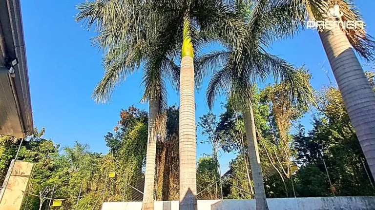 Imagem Casa com 3 Quartos à Venda, 98 m² em Centro - Itupeva Imagem Casa com 3 Quartos à Venda, 98 m² em Centro - Itupeva