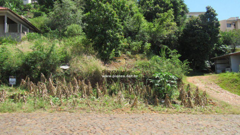 Imagem Terreno à Venda, 450 m² em Itaíba - Concórdia Imagem Terreno à Venda, 450 m² em Itaíba - Concórdia