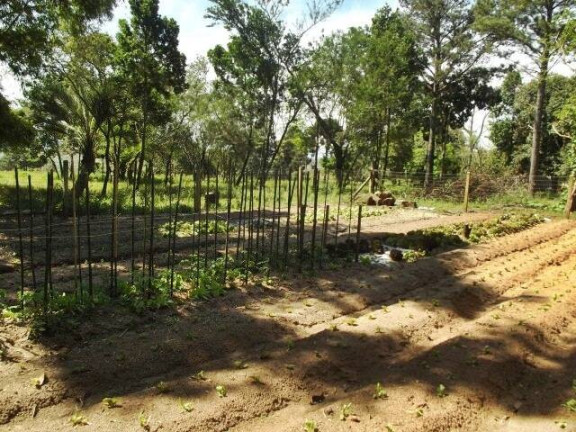 Imagem Chácara com 1 Quarto à Venda, 11 m² em águas Claras - Viamão