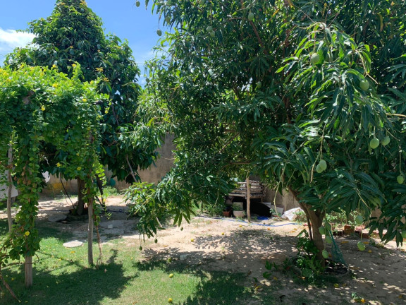 Imagem Casa com 4 Quartos à Venda, 546 m² em Frei Higino - Parnaiba Imagem Casa com 4 Quartos à Venda, 546 m² em Frei Higino - Parnaiba