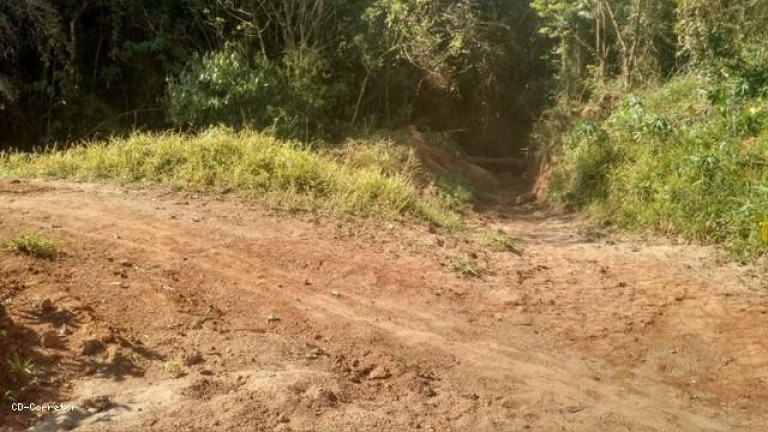 Imagem Terreno à Venda, 10.000 m² em Camanducaia Do Meio - Socorro Imagem Terreno à Venda, 10.000 m² em Camanducaia Do Meio - Socorro