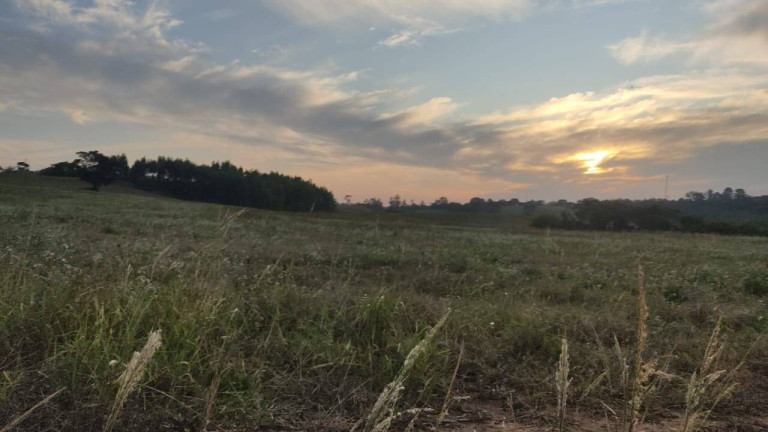 Imagem Fazenda à Venda, 314 m² em Morro Alto - Itapetininga Imagem Fazenda à Venda, 314 m² em Morro Alto - Itapetininga