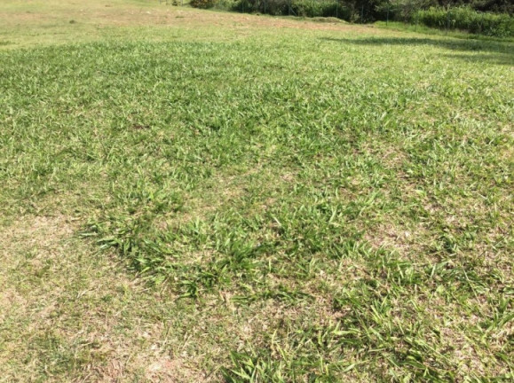 Imagem Terreno à Venda, 500 m² em Chácara São João - Carapicuíba Imagem Terreno à Venda, 500 m² em Chácara São João - Carapicuíba
