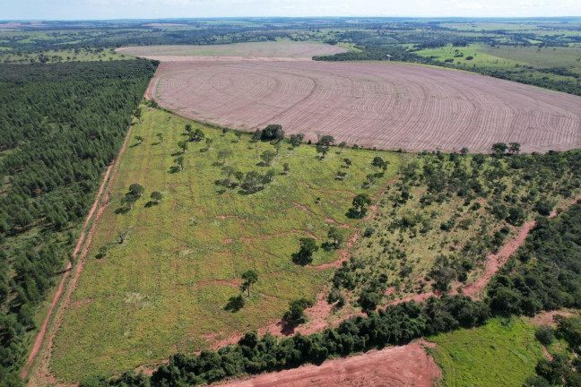 Imagem Fazenda à Venda, 74 m² em Zona Rural - Prata Imagem Fazenda à Venda, 74 m² em Zona Rural - Prata