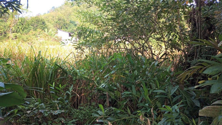 Imagem Terreno à Venda, 3.520 m² em Itamanbuca - Ubatuba