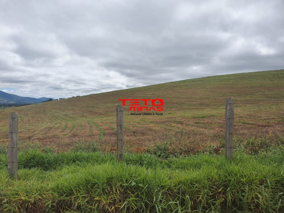 Imagem Imóvel à Venda, em área Rural De Pouso Alegre - Pouso Alegre Imagem Imóvel à Venda, em área Rural De Pouso Alegre - Pouso Alegre