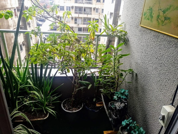 Imagem Apartamento com 3 Quartos à Venda, 60 m² em Piedade - Jaboatão Dos Guararapes Imagem Apartamento com 3 Quartos à Venda, 60 m² em Piedade - Jaboatão Dos Guararapes