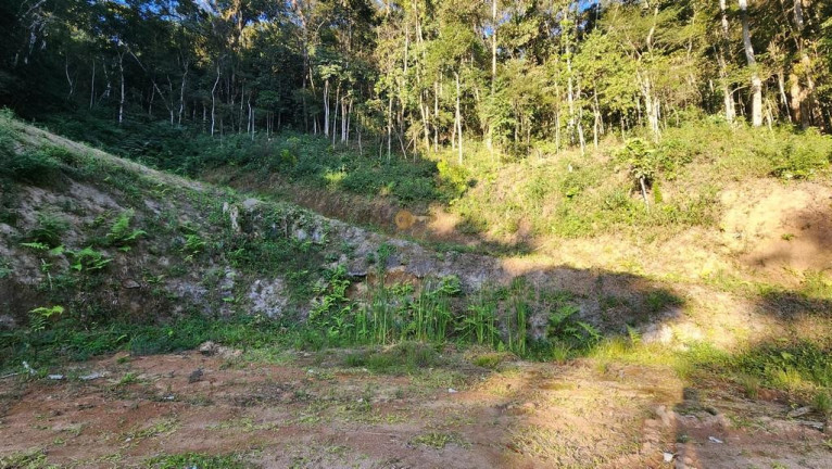 Imagem Terreno à Venda, 6.000 m² em Três Córregos - Teresópolis Imagem Terreno à Venda, 6.000 m² em Três Córregos - Teresópolis