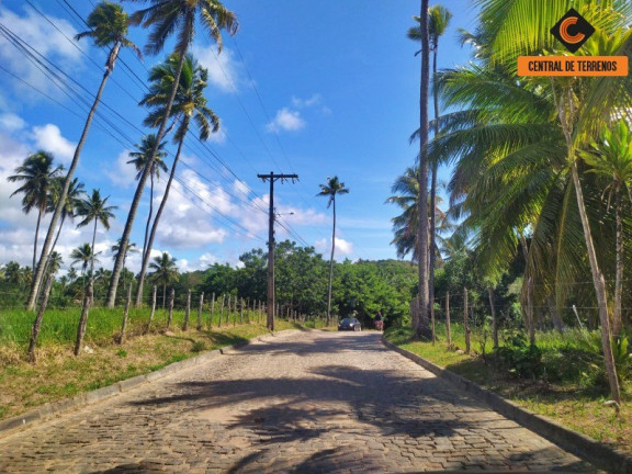 Imagem Terreno à Venda, 1.000 m² em Imbassaí - Mata De São João Imagem Terreno à Venda, 1.000 m² em Imbassaí - Mata De São João