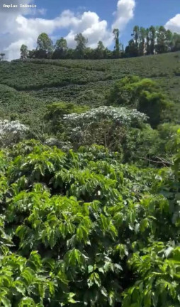 Imagem Fazenda à Venda, 11 m² em Manhumirim