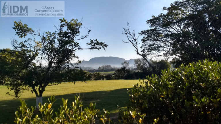 Imagem Chácara à Venda, 824.000 m² em Centro - Gravataí