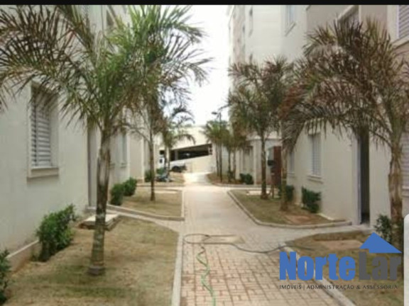 Imagem Apartamento com 3 Quartos à Venda, 61 m² em Vila Regina - São Paulo Imagem Apartamento com 3 Quartos à Venda, 61 m² em Vila Regina - São Paulo