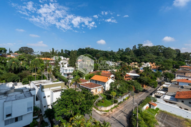 Imagem Apartamento com 3 Quartos à Venda, 232 m² em Vila Morumbi - São Paulo Imagem Apartamento com 3 Quartos à Venda, 232 m² em Vila Morumbi - São Paulo