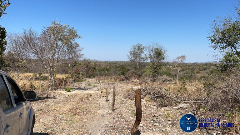 Imagem Chácara à Venda, 15 m² em Zona Rural - Faina Imagem Chácara à Venda, 15 m² em Zona Rural - Faina