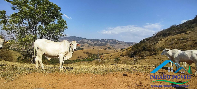 Chácara à Venda, 12 m² em Centro - Consolação