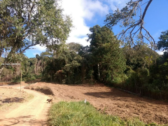 Imagem Imóvel à Venda, em Depois Do Centro - Ibiúna Imagem Imóvel à Venda, em Depois Do Centro - Ibiúna