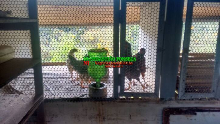 Imagem Fazenda à Venda, 1 m² em Centro - Redenção Da Serra Imagem Fazenda à Venda, 1 m² em Centro - Redenção Da Serra