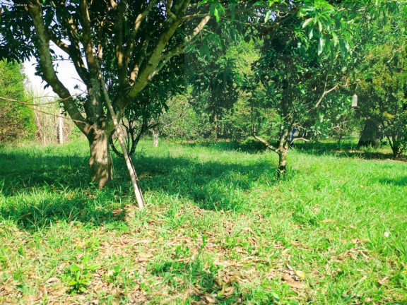 Imagem Chácara com 2 Quartos à Venda, 4.326 m² em Azurita
