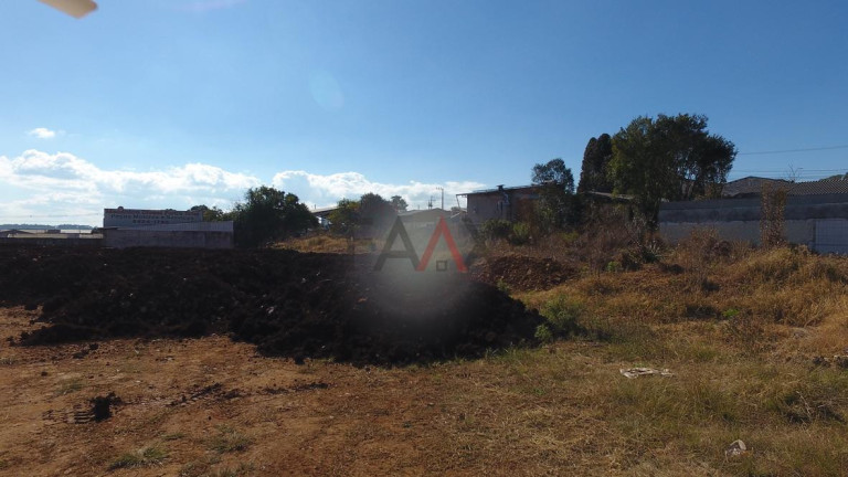 Imagem Terreno para Alugar, 2.000 m² em Primavera - Guarapuava Imagem Terreno para Alugar, 2.000 m² em Primavera - Guarapuava