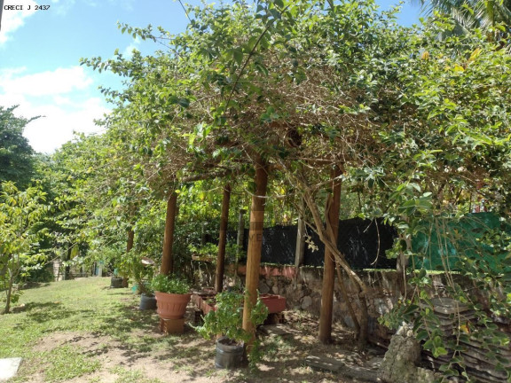 Imagem Casa com 4 Quartos à Venda, 900 m² em Jauá (abrantes) - Camaçari